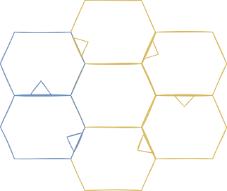 Fastlane UI Process